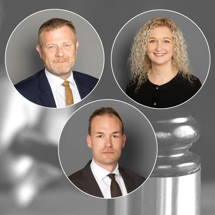 MDU 022024 38 39 Domsafsigelser